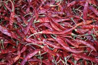 Rote Chili